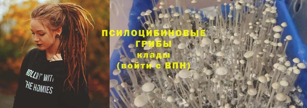 бутират Бородино
